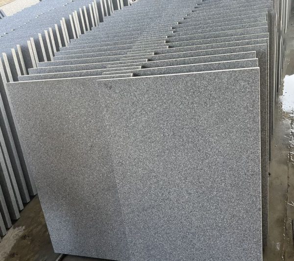 60x80cm G654 Cambodia Granite Tiles