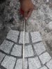 G603 Grey Granite Fan shaped Meshed Cobblestone